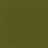 Seagrass Seagrass