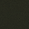 Moss Moss