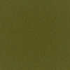 Seagrass